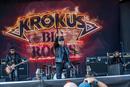 Krokus 