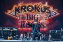 Krokus 