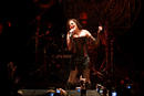 Sirenia 