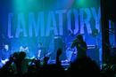 Amatory 