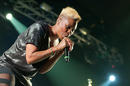 Skunk Anansie 